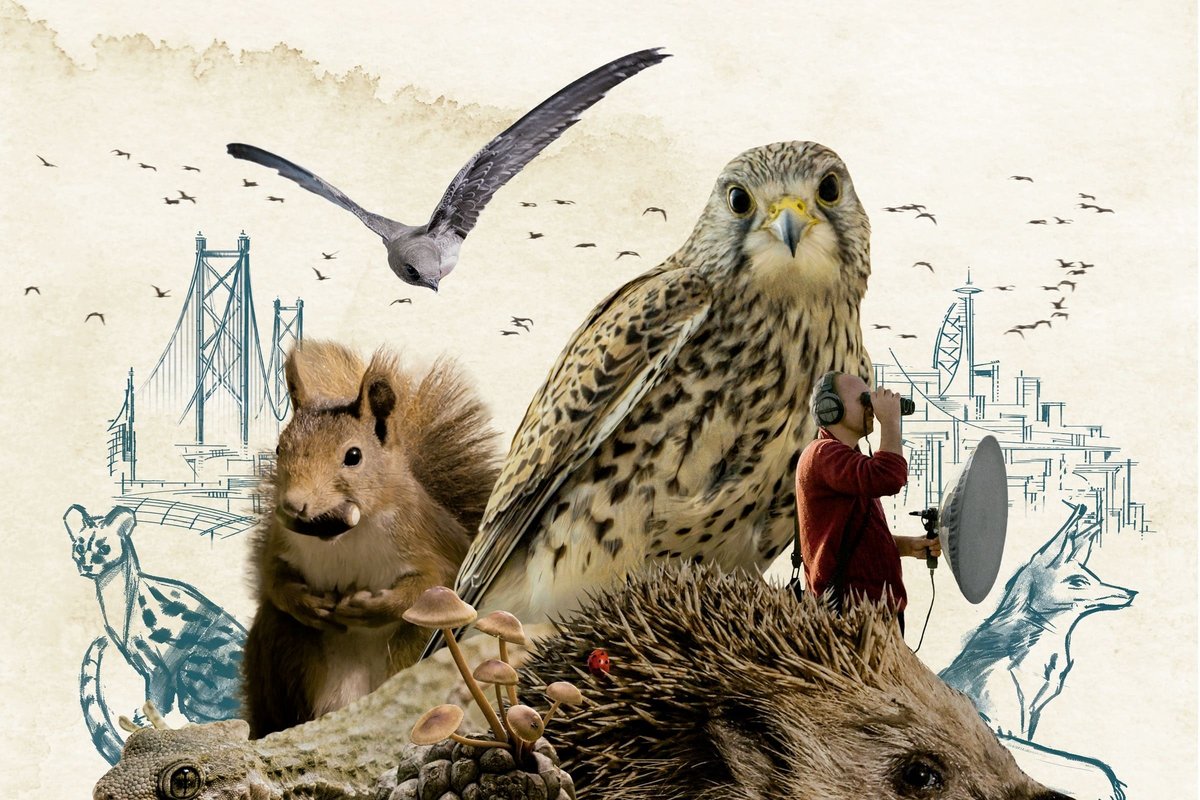 desenho de vários animais