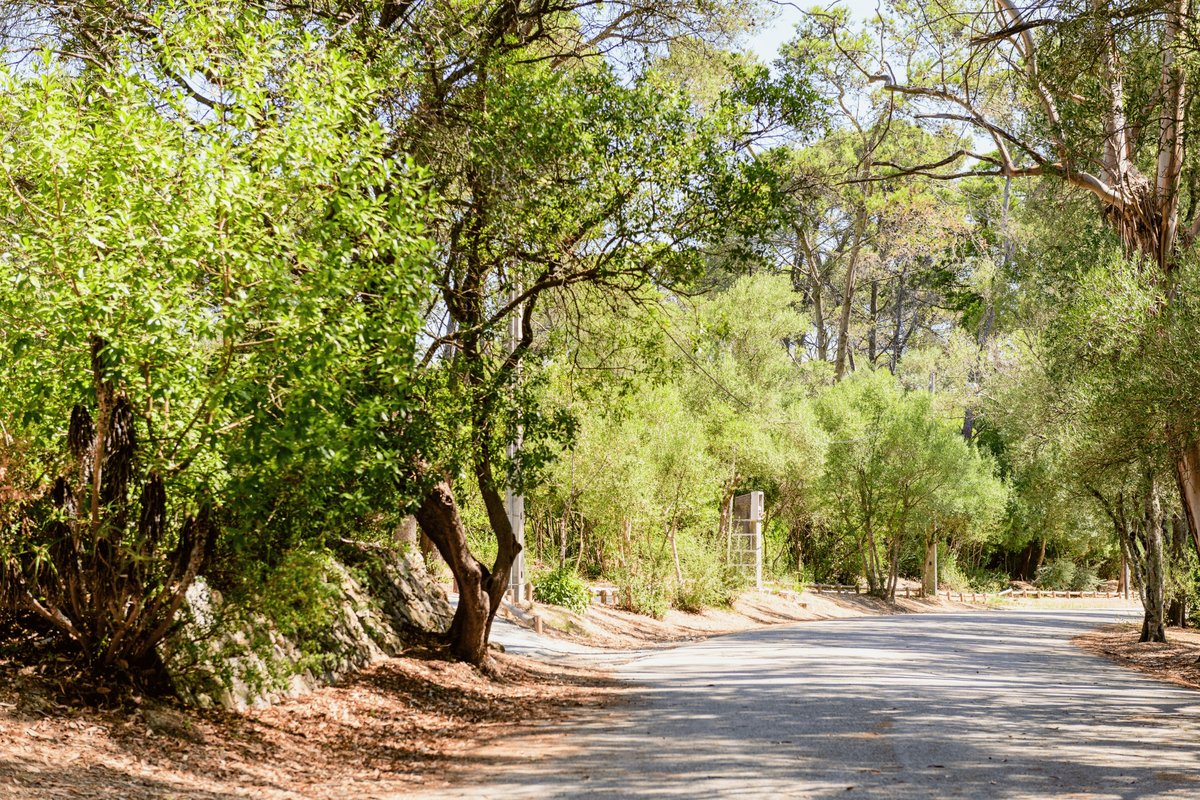 Caminho em Monsanto