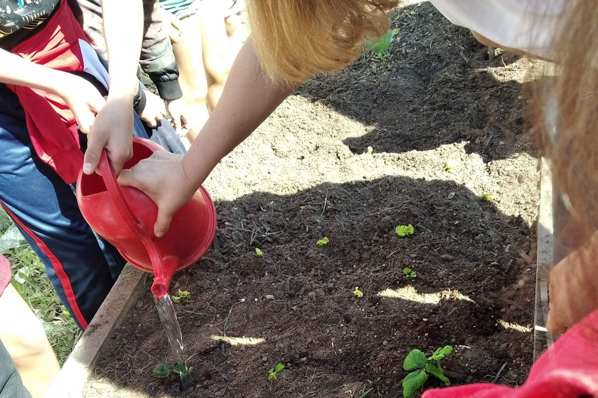 Crianças a cuidar de plantas
