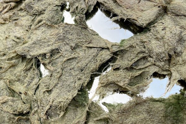 matéria em transformação