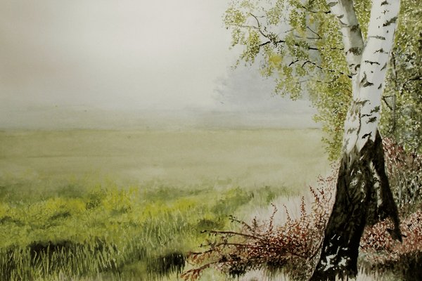 aguarela de Clara Cabral