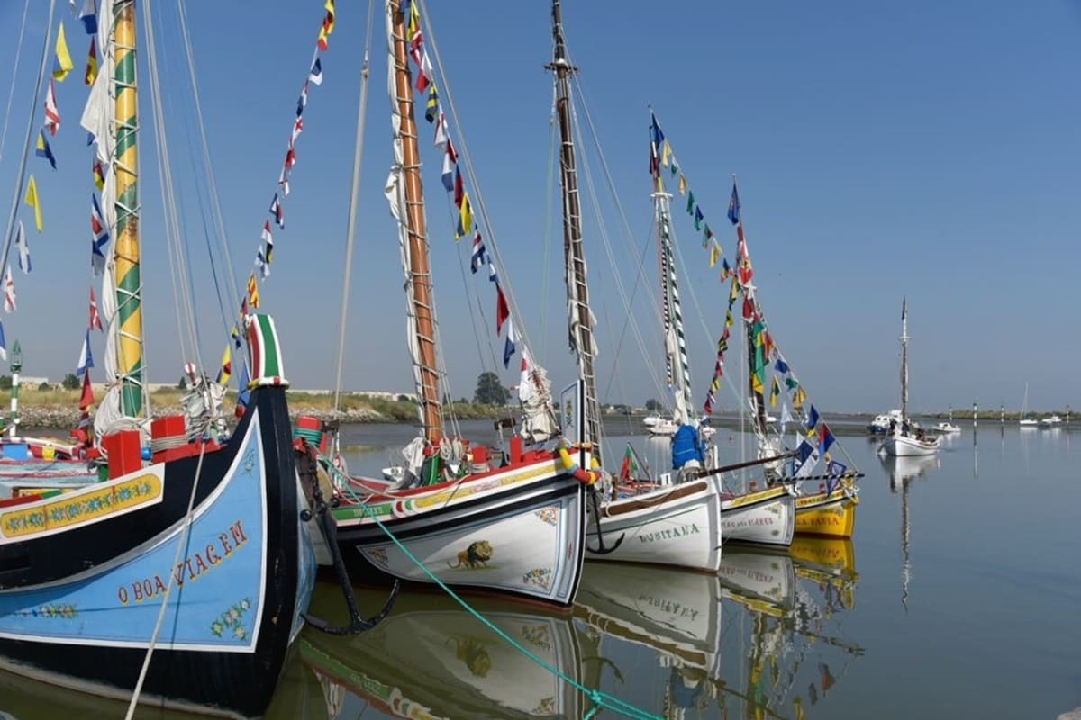 embarcações típicas do Tejo