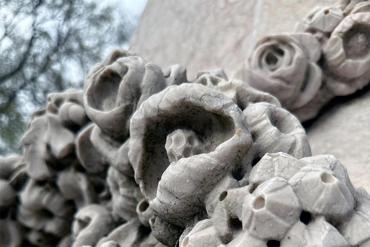 Detalhe de uma estátua