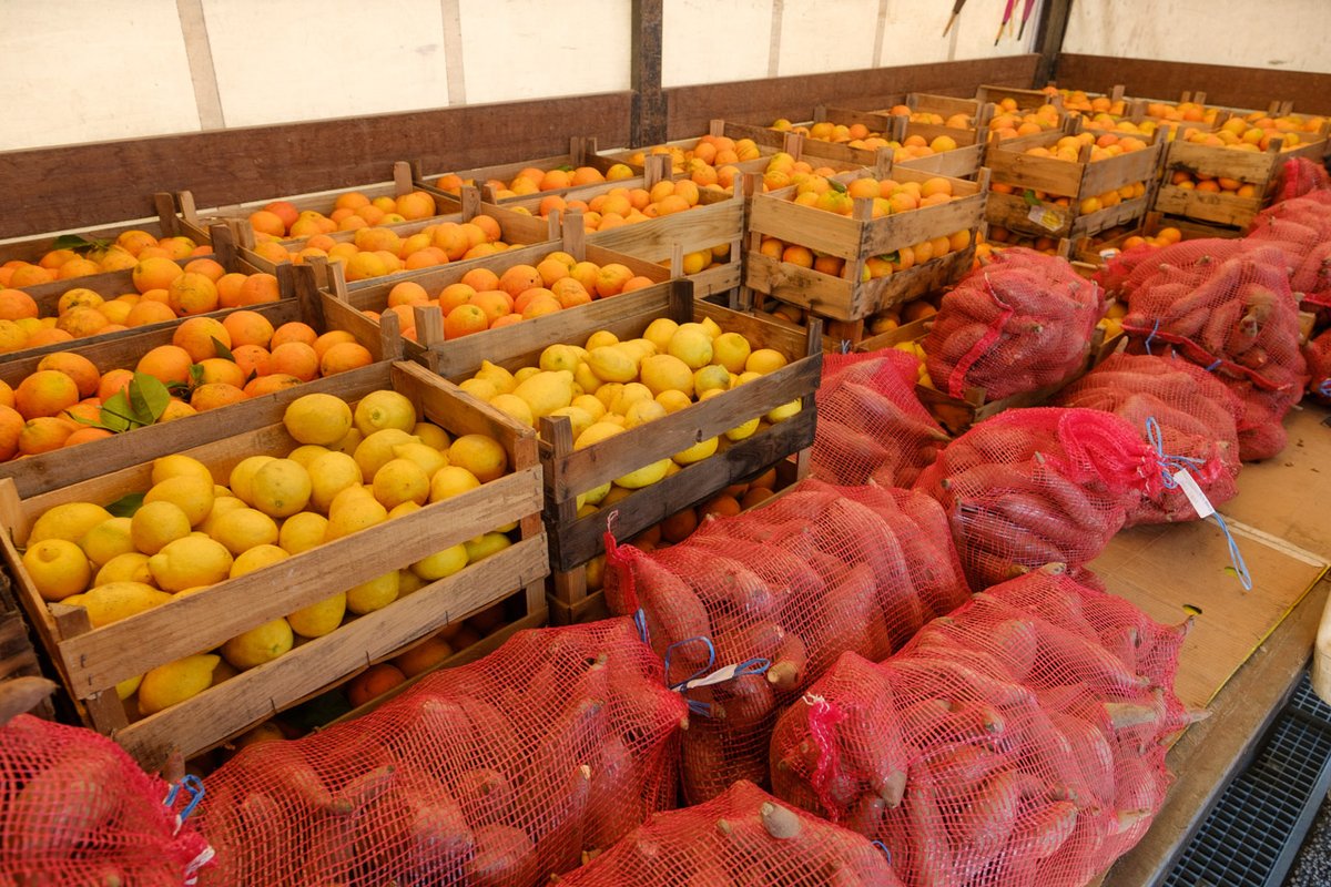 Câmara entrega 5 toneladas de alimentos a instituições sociais da cidade