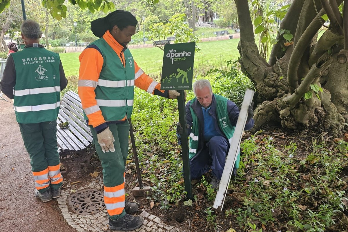 Jardim da Estrela recebe sinalética de sensibilização