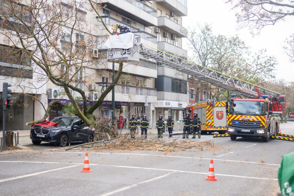 A maioria das 333 ocorrências está relacionada com queda de árvores (237) 