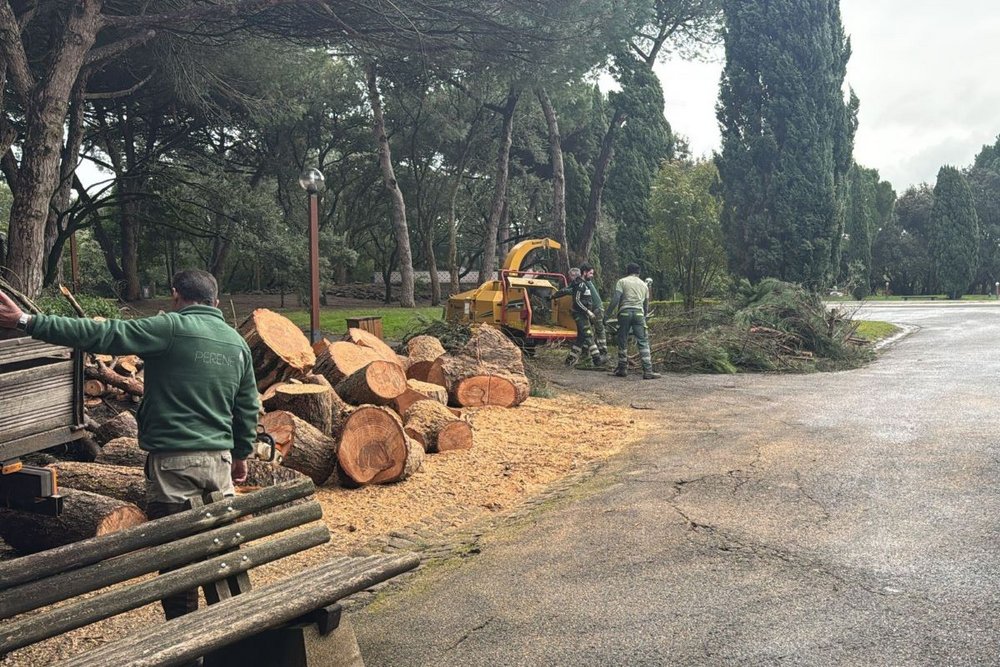 Parques Recreativos da Serafina e do Alvito temporariamente encerrados