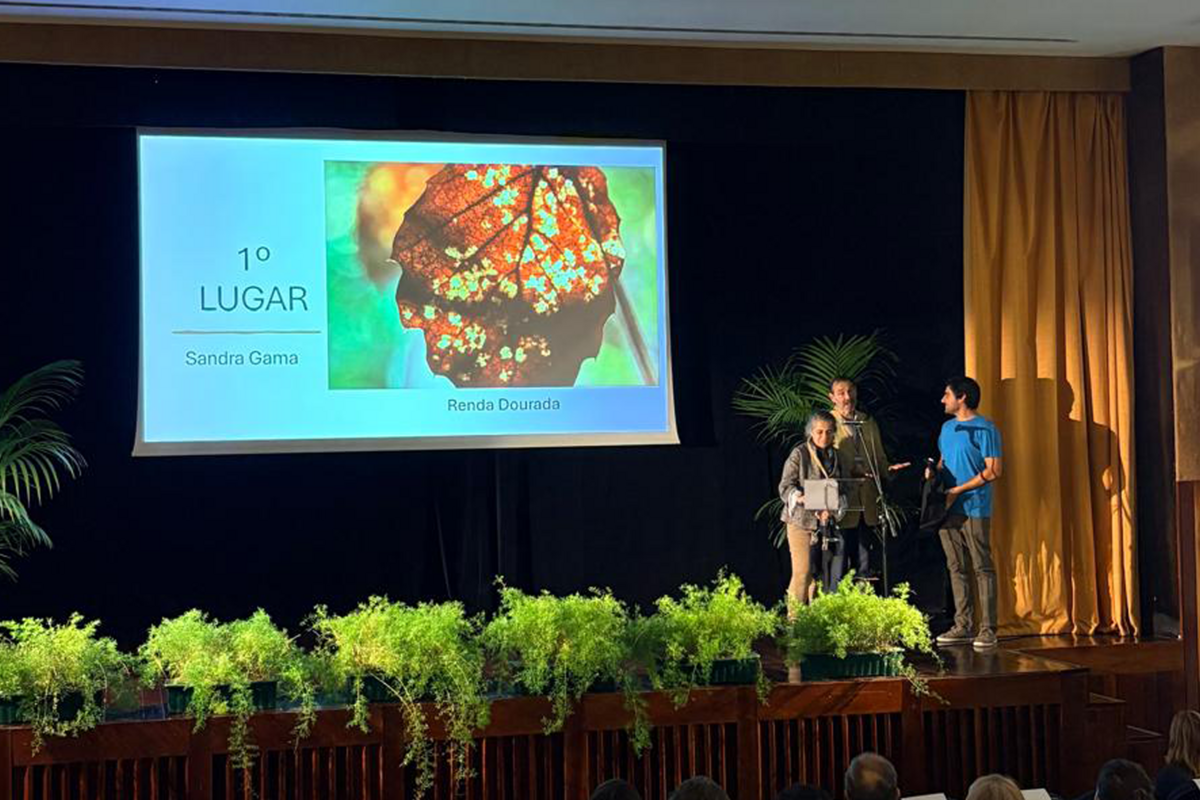 A grande vencedora da primeira edição foi Sandra Gama