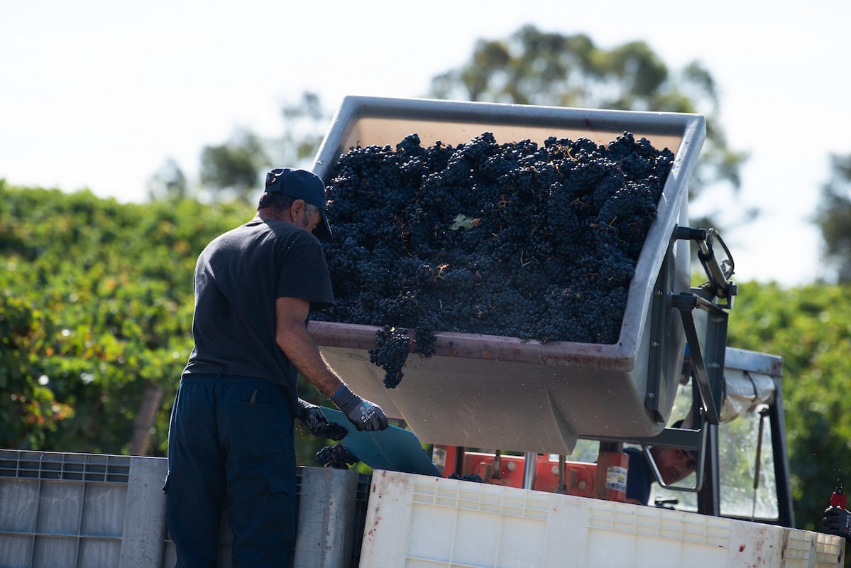 Parque Vinícola de Lisboa