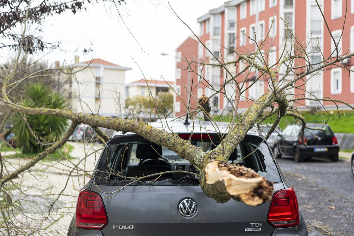 Depressão Kristin provoca centenas de ocorrências em Lisboa