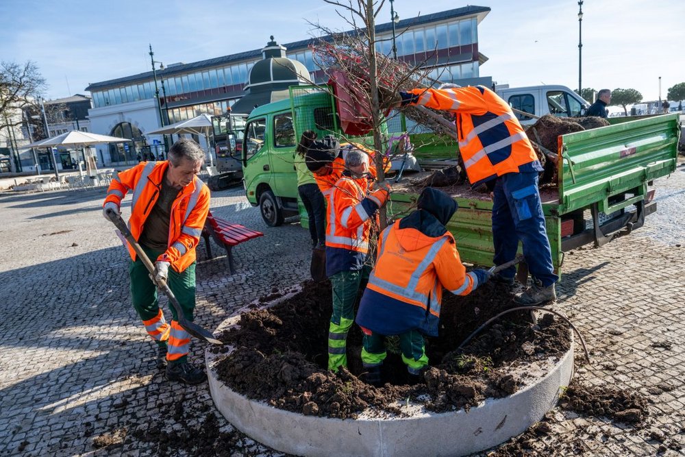 Autarquia requalifica toda a envolvente ao Cais do Sodré