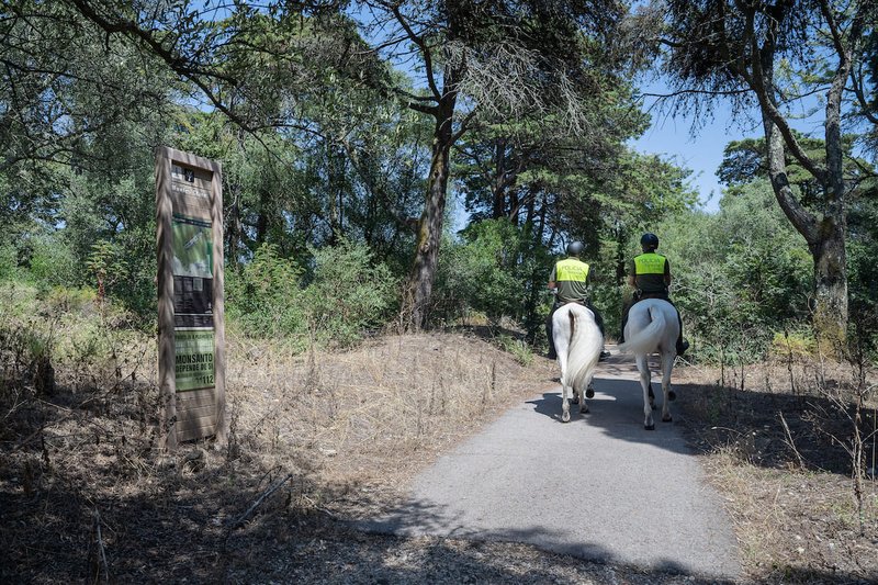 Monsanto Forest Park