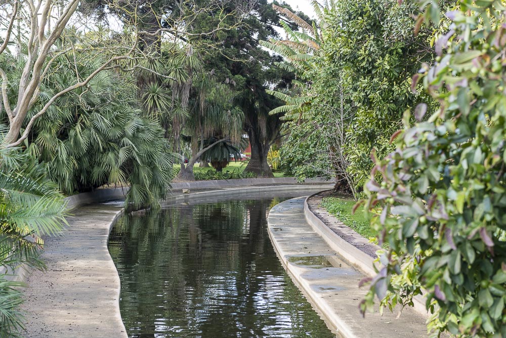Jardim Botânico Tropical reabre ao público após obras de requalificação