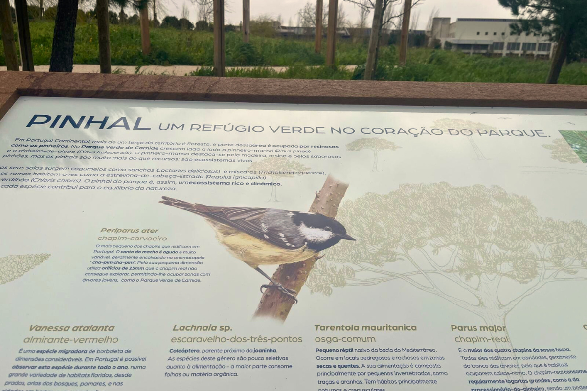 Os painéis têm por objetivo sensibilizar e educar a população sobre a biodiversidade, os ecossistemas e os serviços ambientais