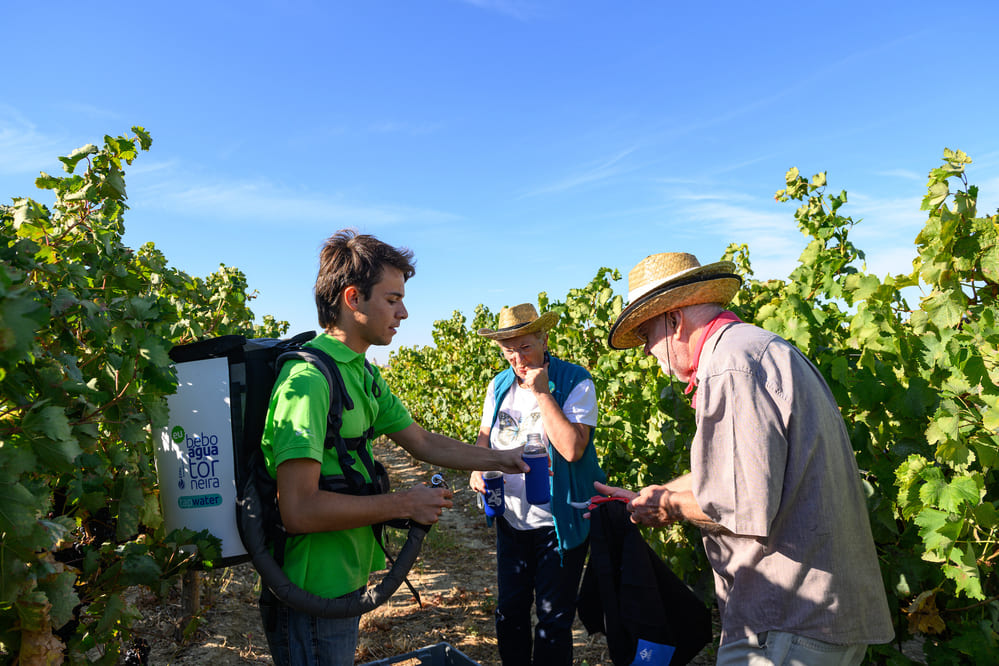 Cerca de 120 lisboetas participaram na vindima organizada pela Câmara Municipal de Lisboa para a produção do vinho “Corvos de Lisboa”