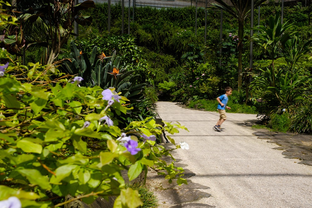 Estufa Fria reabre portas com lotação máxima de 60 visitantes