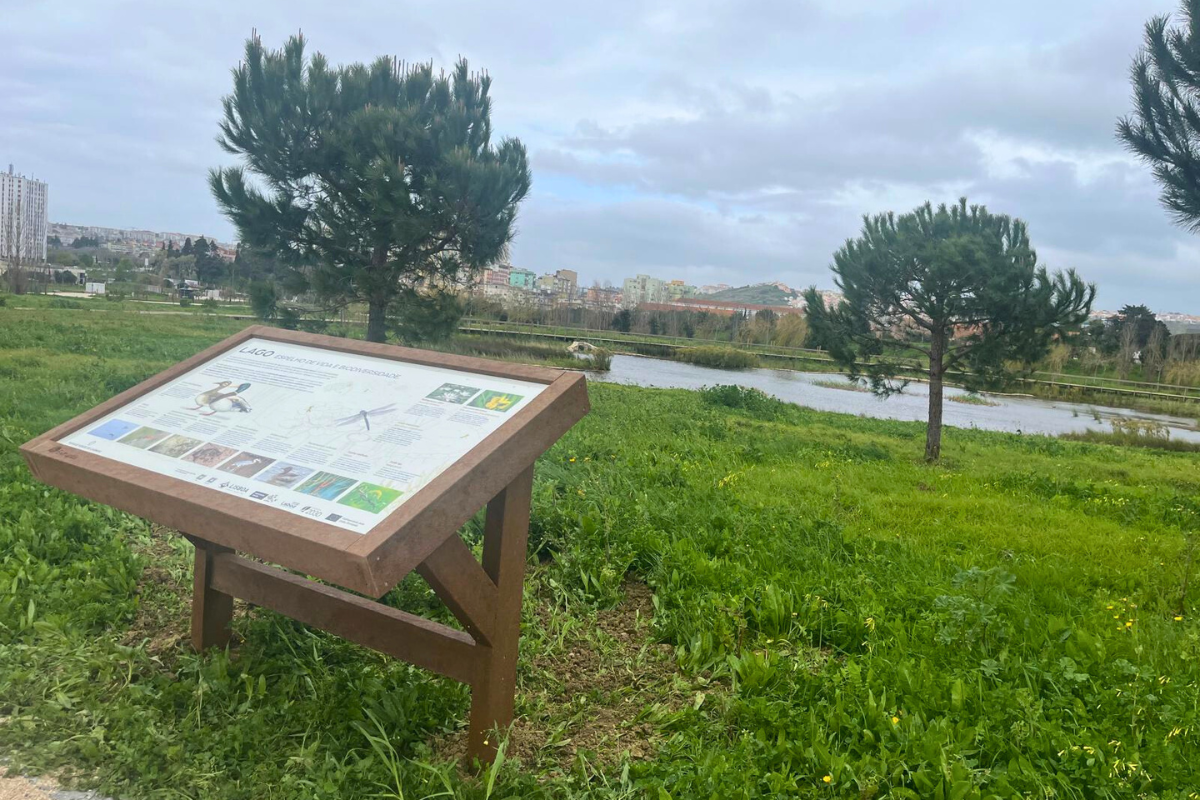 Painéis interpretativos destacam a biodiversidade do Parque Verde de Carnide
