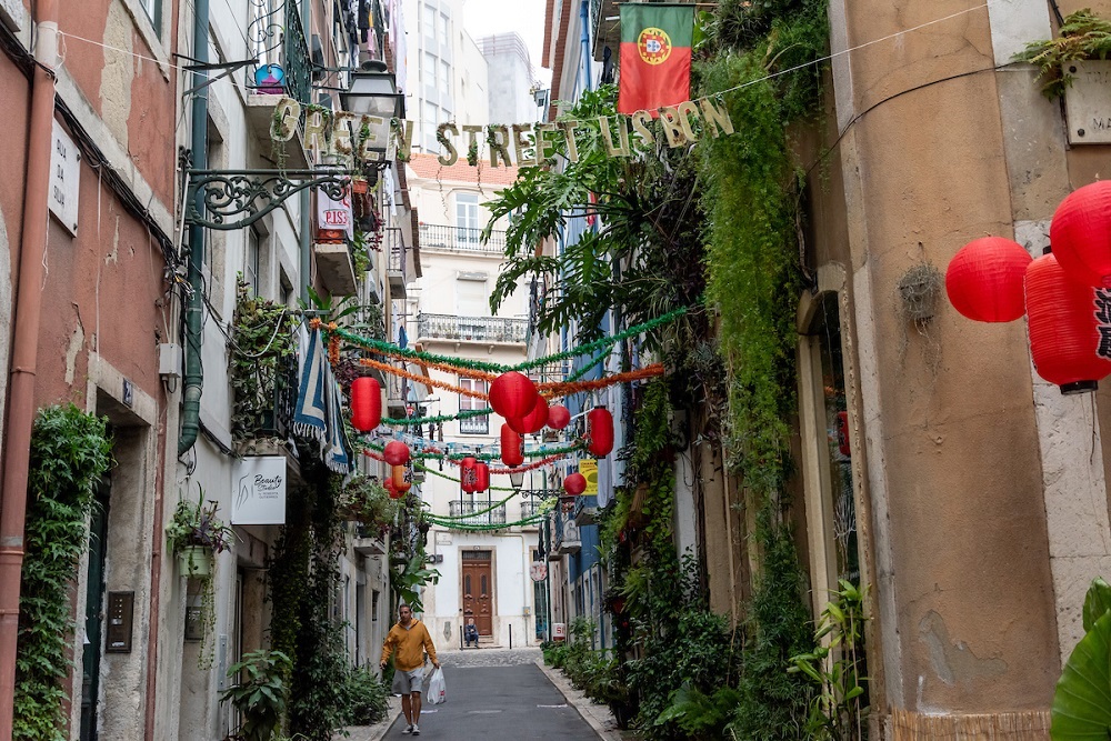 Jardins verticais nas varandas da Rua da Silva