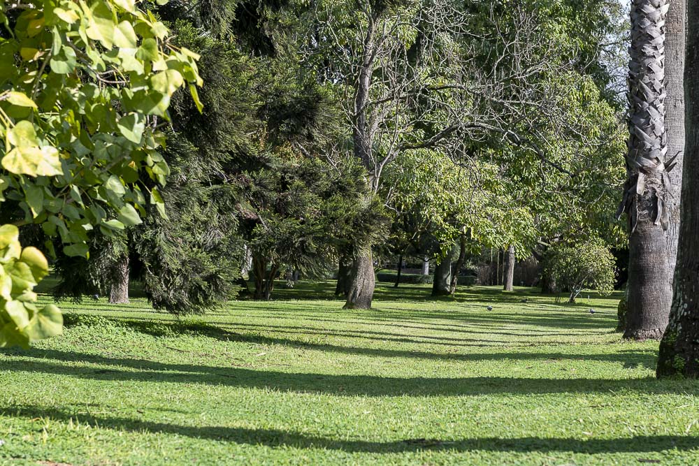 Jardim Botânico Tropical reabre ao público após obras de requalificação