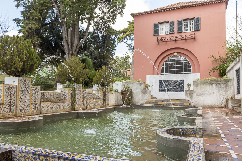 Jardim Botânico Tropical reabre ao público após obras de requalificação