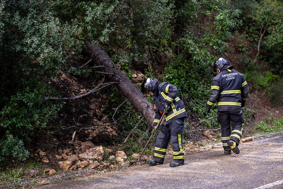 Das 56 ocorrências registadas em Lisboa nas últimas horas a maioria tem a ver com quedas de árvores