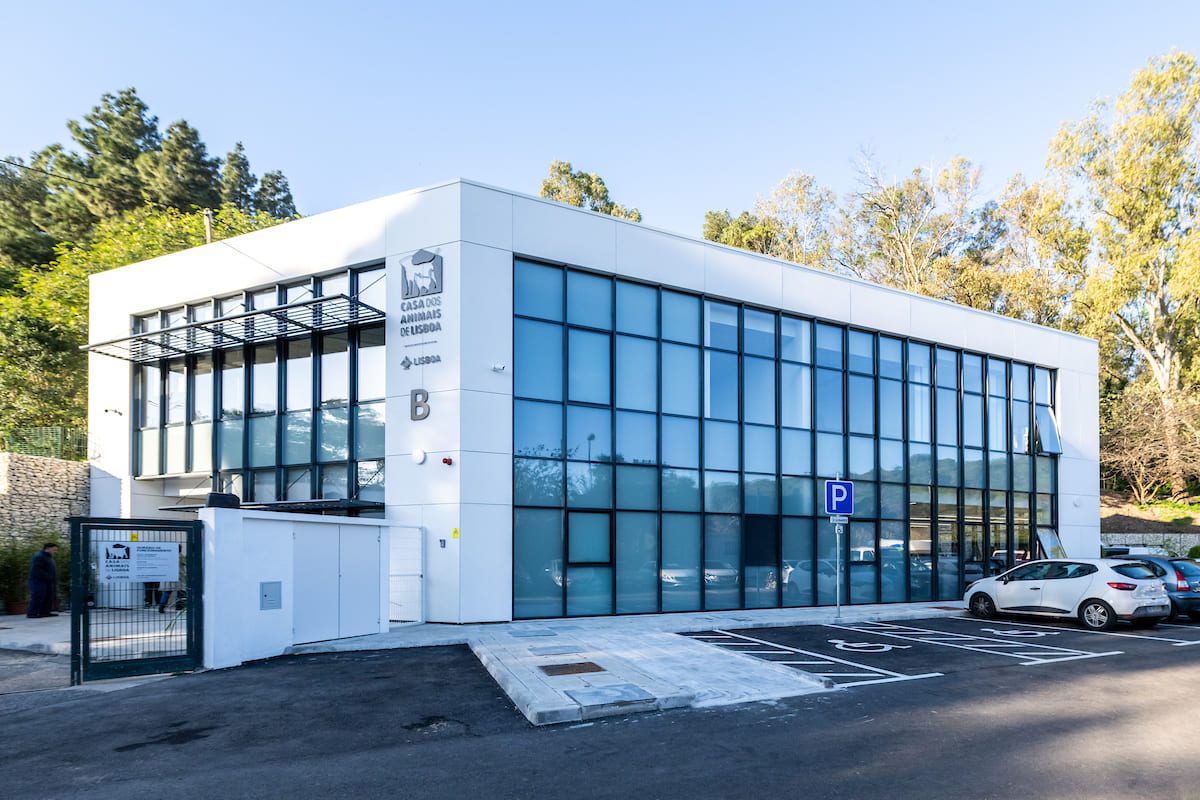 Casa dos Animais de Lisboa moderniza infraestruturas