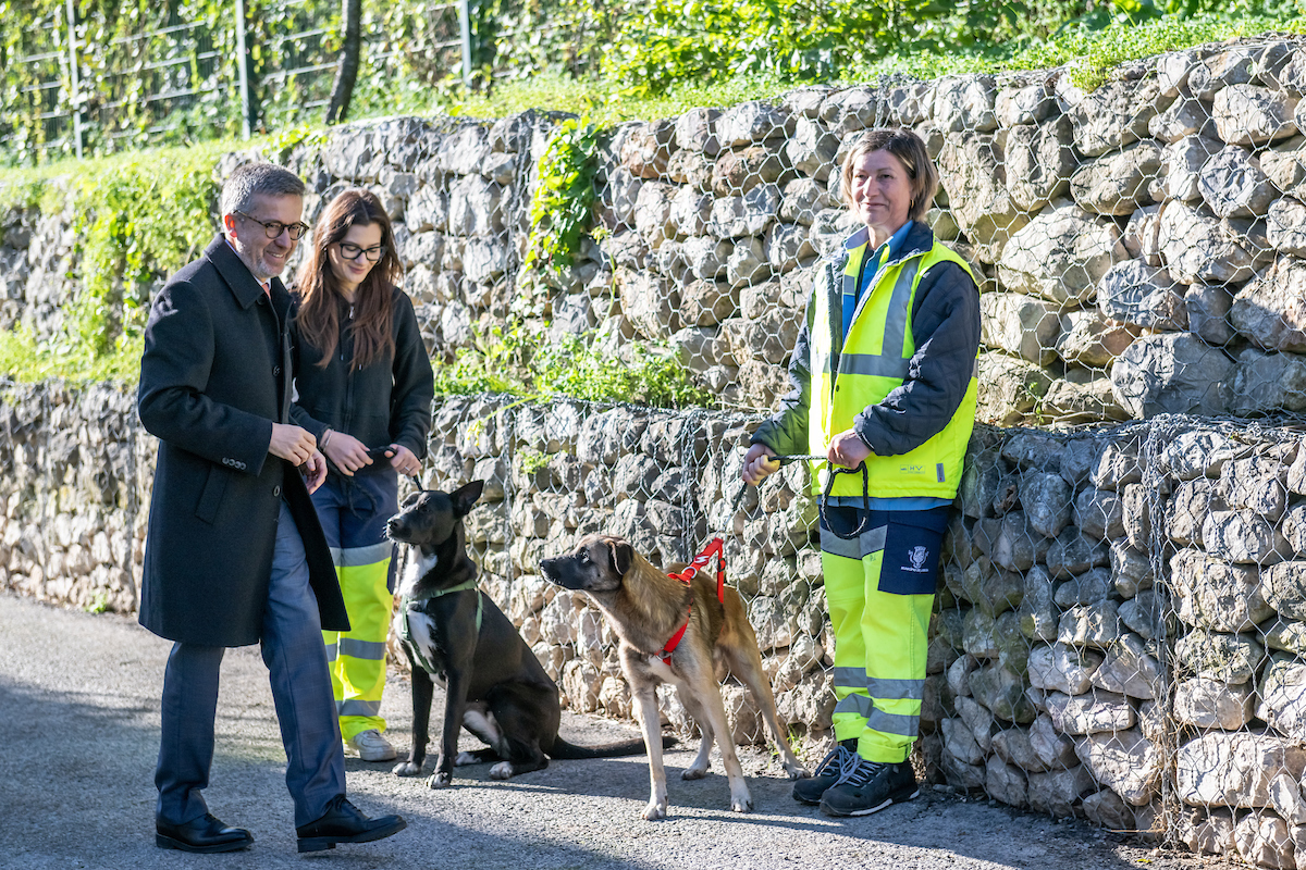 Carlos Moedas destacou o trabalho das equipas responsáveis pela gestão e cuidado dos animais na Casa