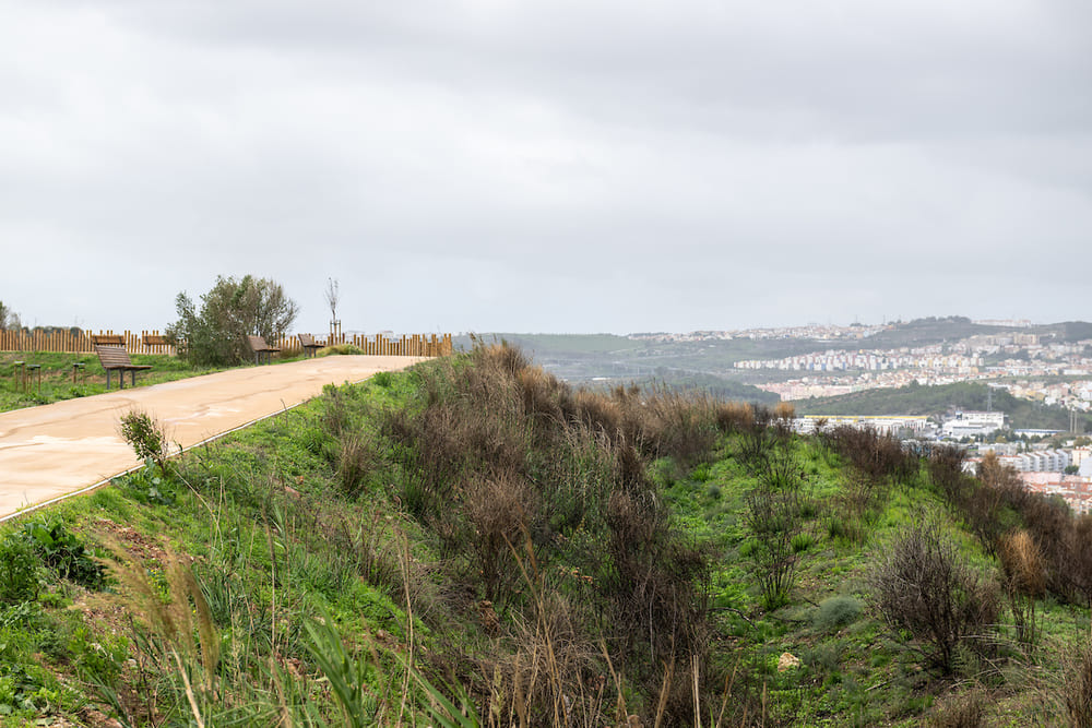 A zona norte da cidade ganhou um novo parque verde, o Parque da Encosta do Olival, com cerca de 7ha