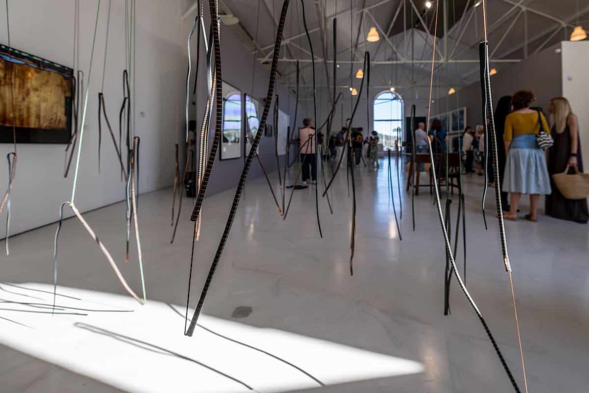 A exposição temporária hoje inaugurada: “Who Where / Quem Onde”, com aquisições de 2024, está patente até 7 de setembro