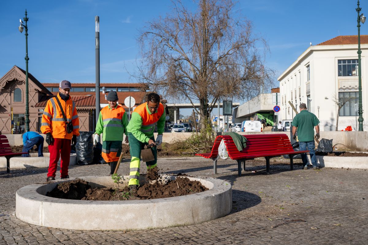 A ação inclui a plantação de 29 árvores, 710 arbustos e 9804 herbáceas de flor