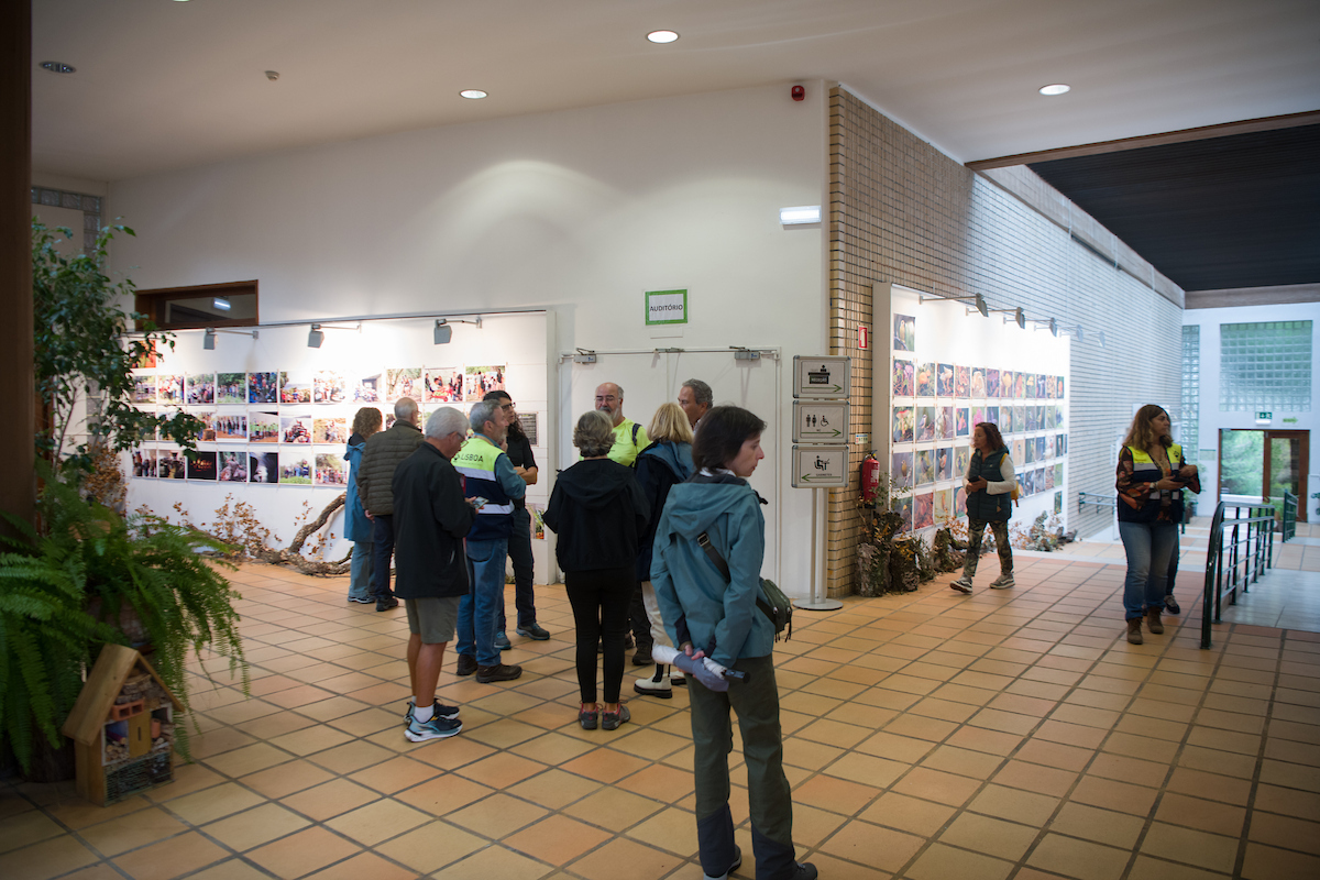 Imagens vencedoras do concurso "Monsanto Inspira" em exposição no Centro de Interpretação de Monsanto