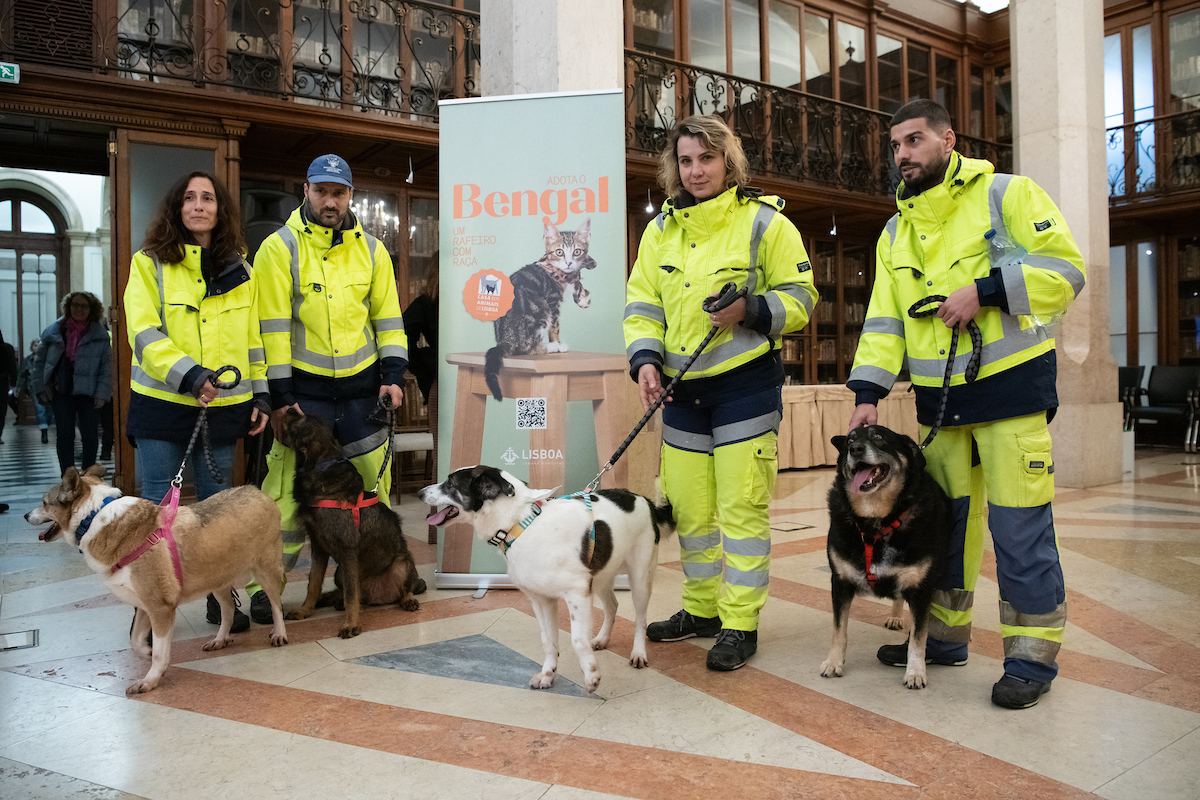 Lisboa lança campanha “Adote um Rafeiro com Raça” para incentivar adoção de animais