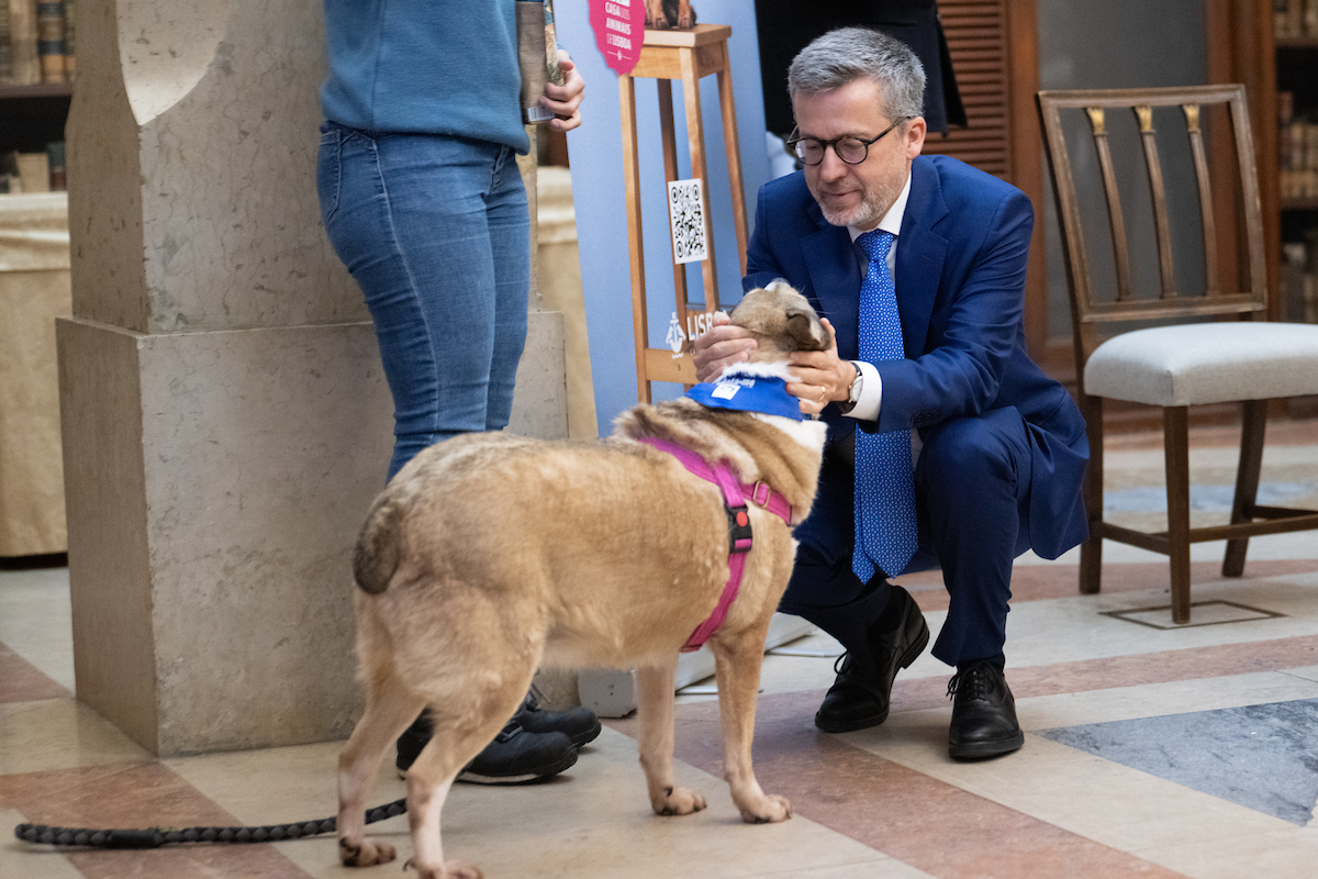 “Estes rafeiros têm muita raça e estes animais, que não têm supostamente raça, como se diz, são animais que para além de tudo são sobreviventes, têm um valor enorme", referiu Carlos Moedas 