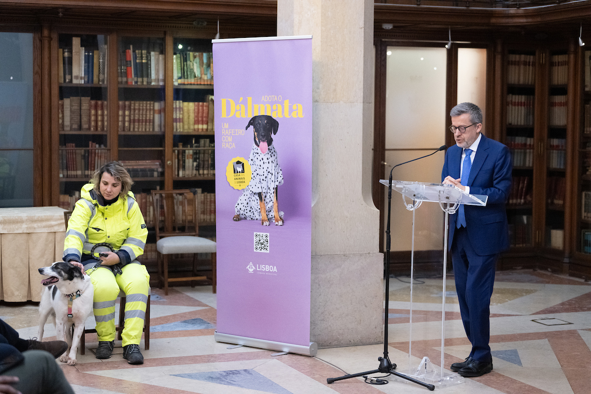 "Uma sociedade também se define pela maneira como tratamos e damos dignidade aos animais e aquilo que fazemos na Câmara Municipal de Lisboa é um trabalho absolutamente único”, referiu Carlos Moedas