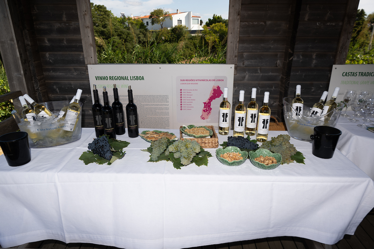 Vinho “Corvos de Lisboa”