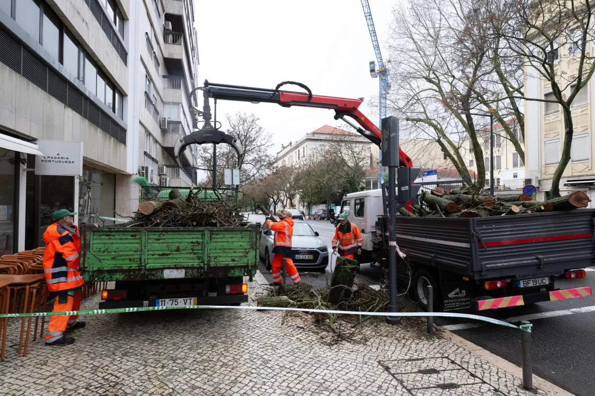 Depressão Marta gera 212 ocorrências em Lisboa