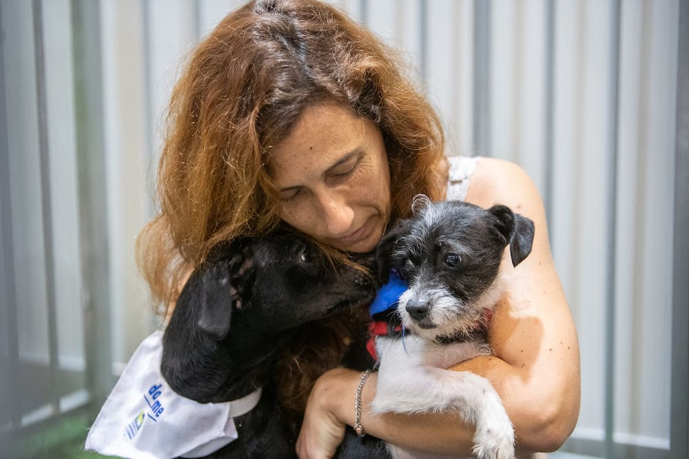 A CAL tem como objetivo recolher, tratar e dar uma casa aos animais abandonados de Lisboa