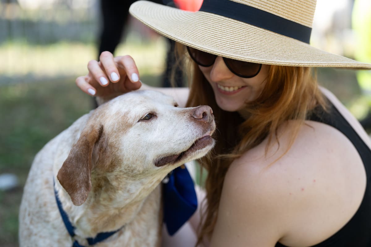Dirigido às crianças, mas também aos adultos,o livro permite uma melhor compreensão da relação entre humanos e animais