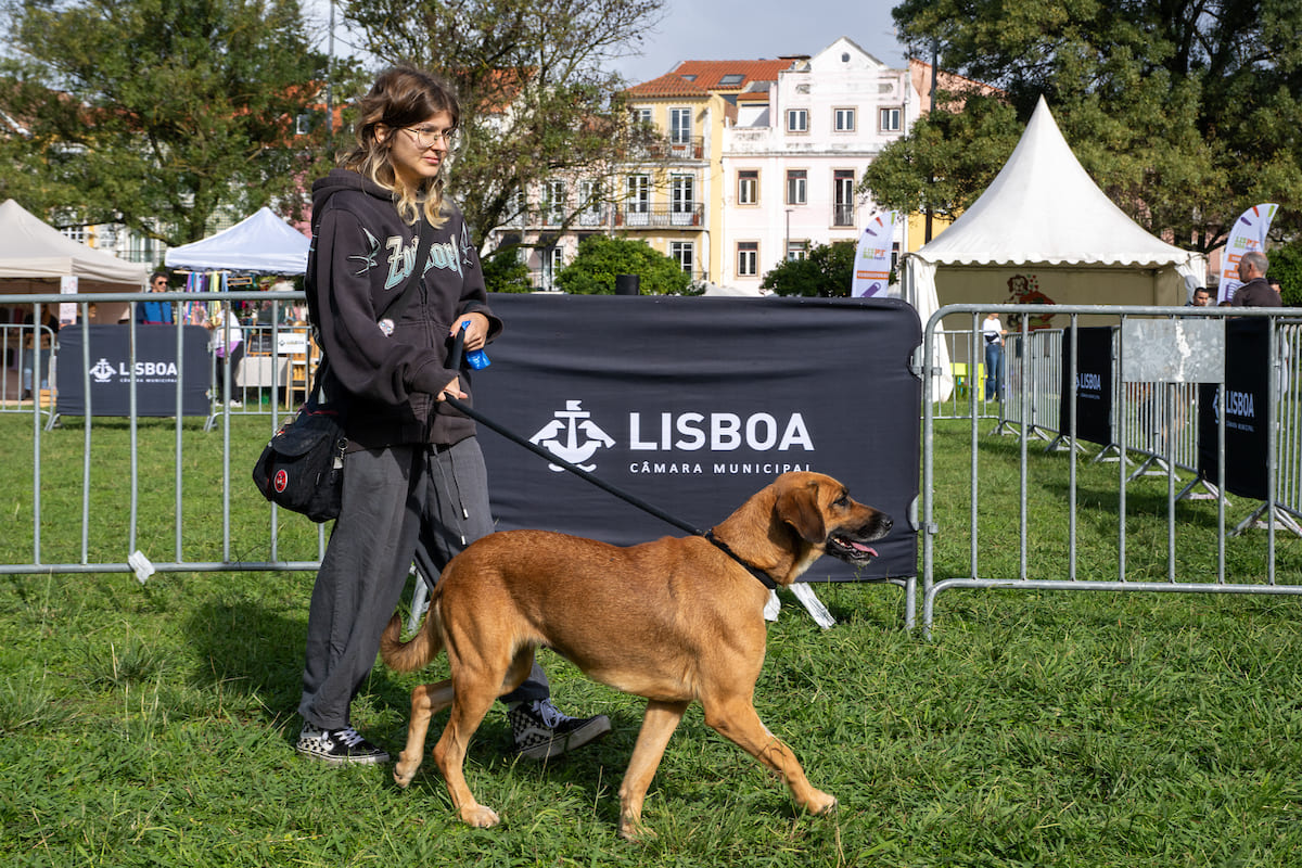 O Jardim Vasco da Gama recebeu este fim de semana a primeira edição da Lisboa PiT Party