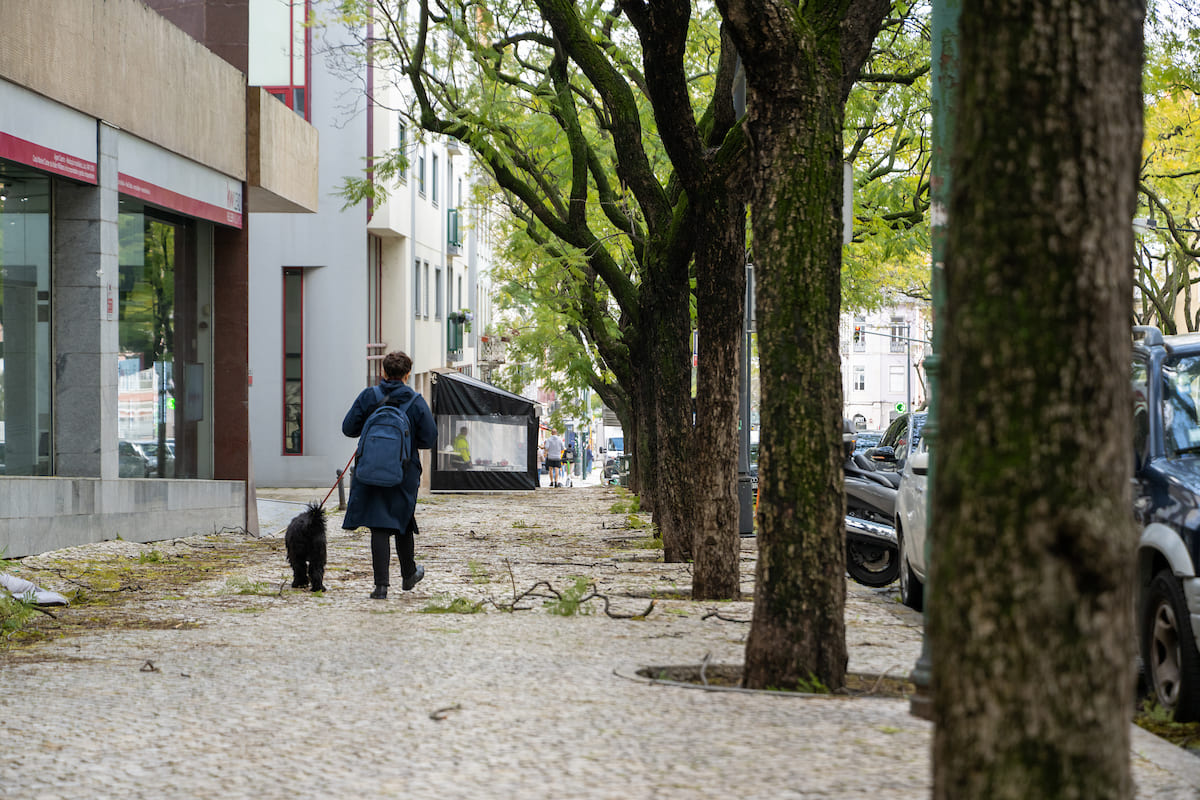 O vento poderá provocar queda de árvores ou ramos