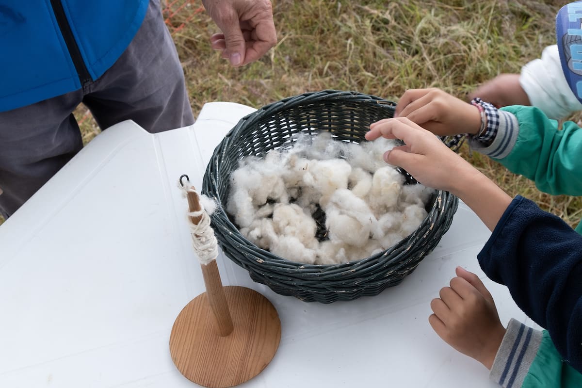 O ciclo da lã foi recriado pela Quinta Pedagógica dos Olivais, numa manhã aberta às escolas locais