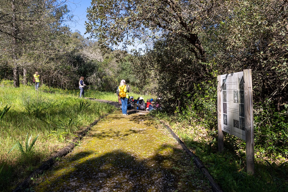 Dia Mundial da Árvore assinalado em Lisboa com rega + sustentável