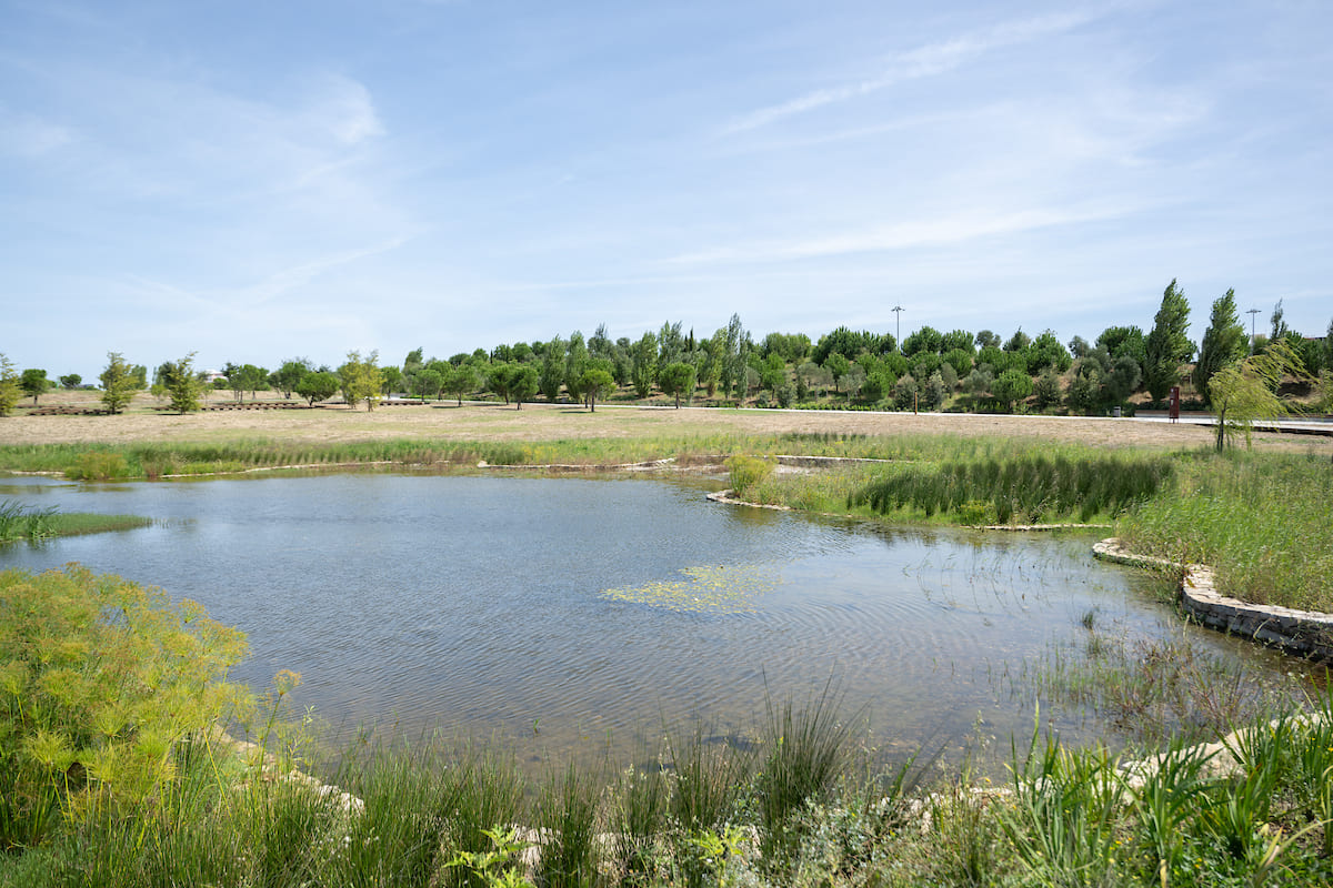 O lago do Parque Verde funciona como uma grande bacia de retenção contribuindo para amortecer caudais de ponta e minimizar picos de cheia