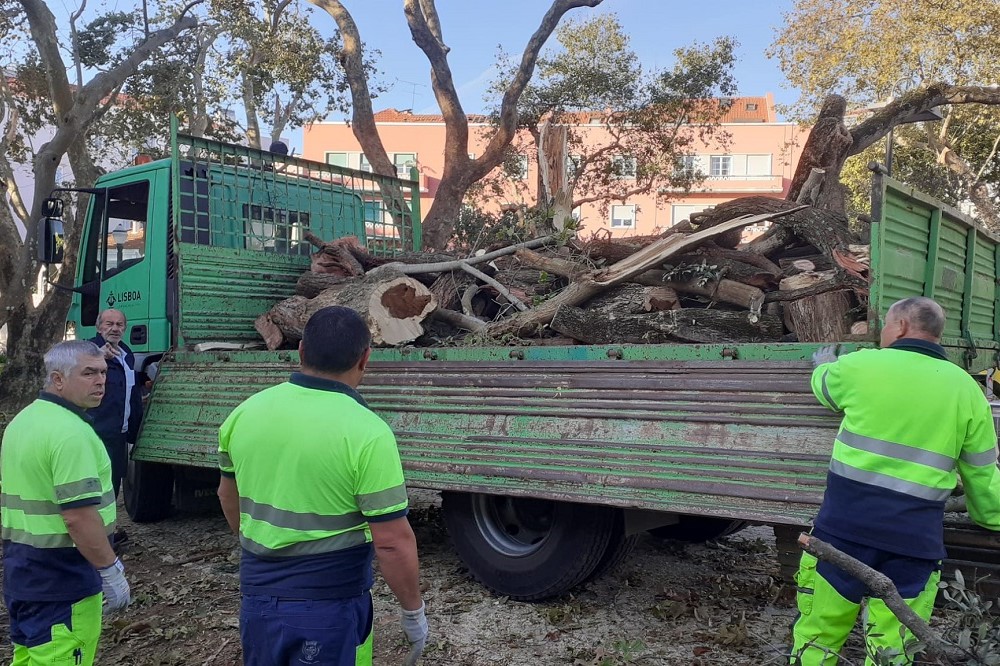 Operação de limpeza após tempestade - Jardim da Imprensa, Estrela