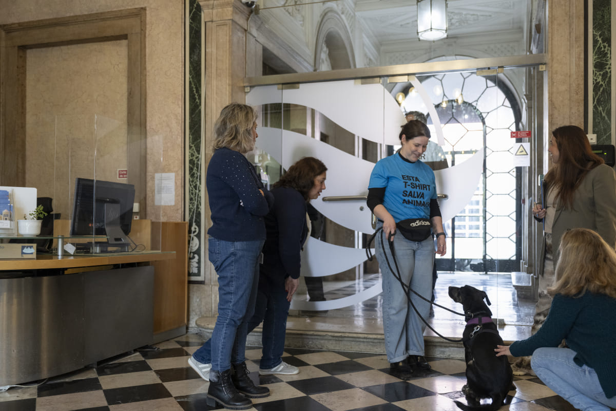 O espaço PET Friendly está disponível nas instalações da empresa em Lisboa