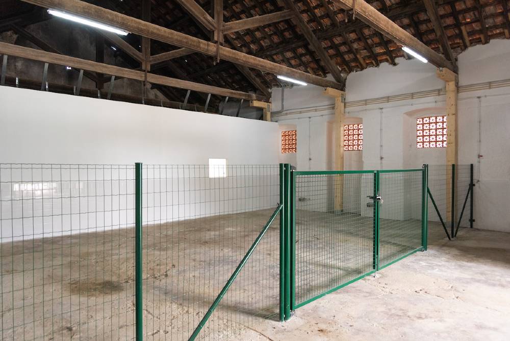 Projeto recuperou um edifício existente no Parque da Belavista que se encontrava em avançado estado de degradação