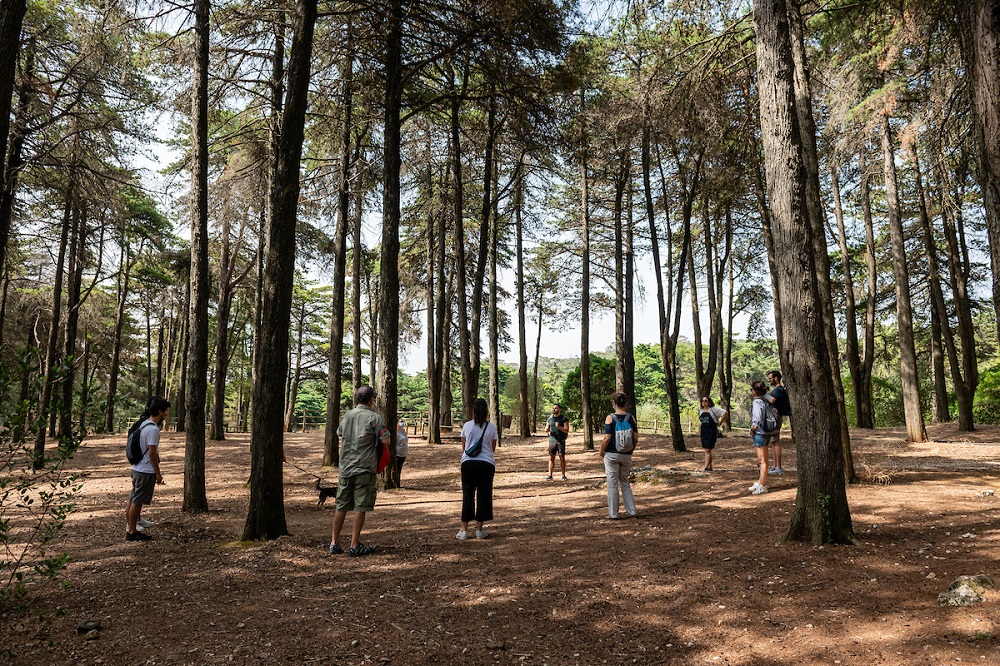 Atividade Banhos de Floresta no Monsanto