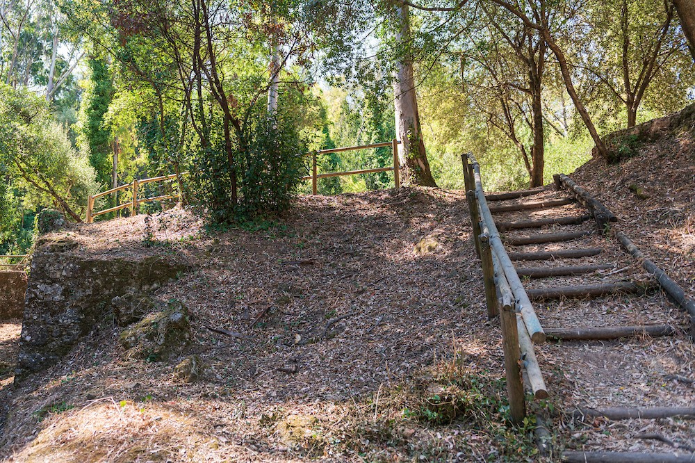 Parque Florestal de Monsanto