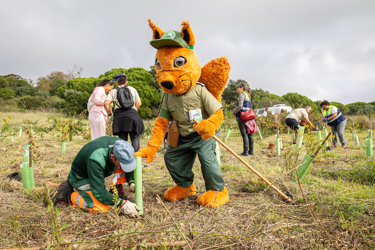 Plantação de 90 árvores com a colaboração da Mascote do PFM