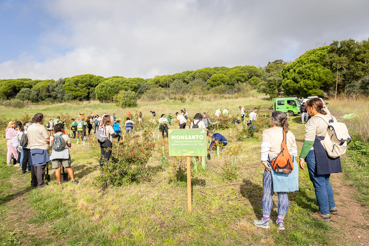 A iniciativa “Parabéns, Monsanto!” assinalou os 90 anos deste Parque Florestal em Lisboa